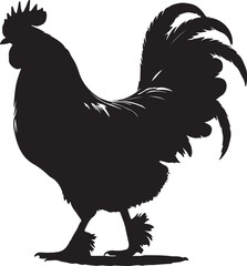Chicken vector Shilhouette, Chicken vector shilhouette with white background. 