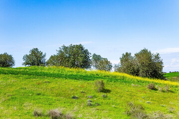 Obraz premium Kibbutz planting of crops