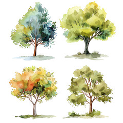 Tree watercolor green painting, set of graphics trees elements outline symbol for architecture and landscape design drawing. Vector illustration in stroke fill . illustration for architecture plans