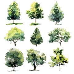 Tree watercolor green painting, set of graphics trees elements outline symbol for architecture and landscape design drawing. Vector illustration in stroke fill . illustration for architecture plans