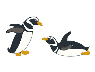 Isolated illustration of two penguin without background 