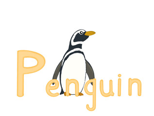 penguin without background for kids alphabet. Letter p