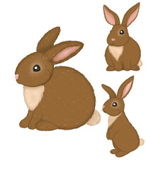  illustration of a set of easter rabbits without background 