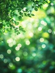 Obraz premium Green bokeh background from nature forest out of focus