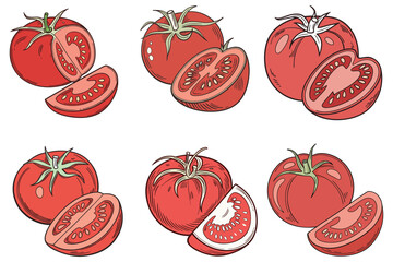 tomato vector illustration design