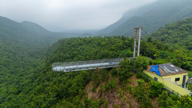 Thrilling Glass Bridge in Rajgir, Bihar offering panoramic views of the surrounding hills and lush greenery, popular among tourists and adventure seekers.