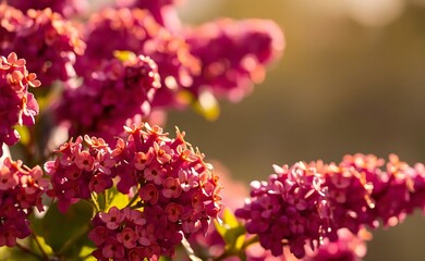 Vibrant lilac flowers captured in rich golden and amber tones, creating a warm and autumnal aesthetic with soft lighting and high detail.