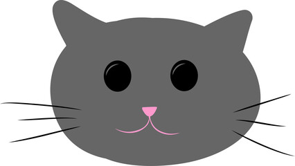 black cat with a bow