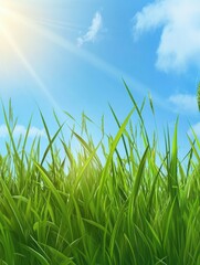 Fototapeta premium Beautiful spring or summer background with green grass and blue sky