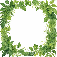 Fototapeta premium Lush green tropical foliage frame with vines and leaves decorative natural botanical border and fresh organic backdrop isolated on white background