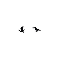 Bird silhouette