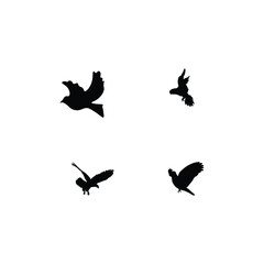 Bird silhouette