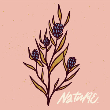 vector folk flowers. hanwritten inscription nature. isolated image. hahd drawn cartoon illustration.