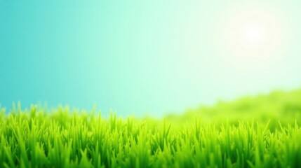 Vibrant Green Grass Blades Under a Serene Sky, a Pastoral Scene of Tranquility and Natural Beauty