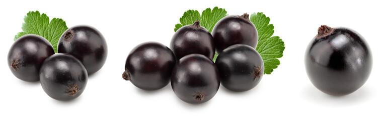 black currant with green leaves isolated on white background. macro. clipping path
