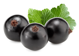 black currant with green leaves isolated on white background. macro. clipping path
