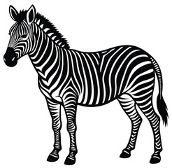 Striped zebra, a wild mammal with black and white stripes isolated on white, cartoon design vector sketch freehand outline hand drawn picture sketchy line art icon sign silhouette illustration