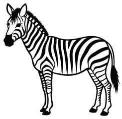 Striped zebra, a wild mammal with black and white stripes isolated on white, cartoon design vector sketch freehand outline hand drawn picture sketchy line art icon sign silhouette illustration