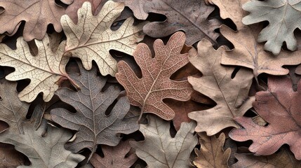 Autumn oak leaves background, nature detail, fall colors, textures, close-up
