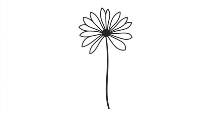 Simple line art daisy flower, white background, design element