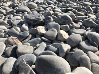 Gray rocky shore by the sea