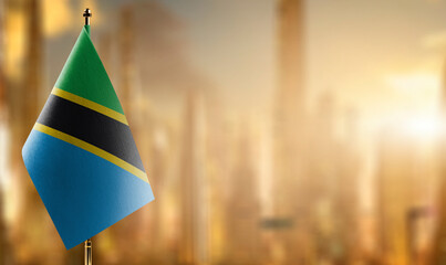 Small flags of the Tanzania on an abstract blurry background