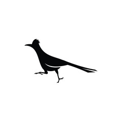 roadrunner logo icon vector illustration