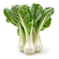 Fresh, vibrant bok choy with crisp green leaves and pale stalks, showcasing its nutritious appeal and culinary versatility.