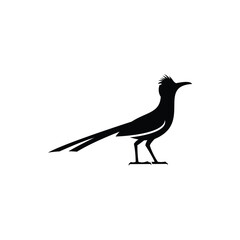 roadrunner logo icon vector illustration