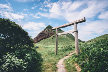 山と鳥居
