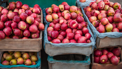 A variety of fresh rose apples, or jambu air, is currently on display for sale at the market