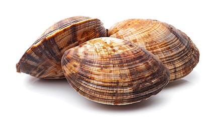Three beautifully patterned clams stacked together, showcasing their natural colors and textures, perfect for culinary dishes or decorative purposes.