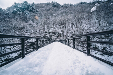 雪が積もる橋
