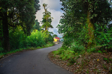 Beautiful drive way in th Himalayan Mountain