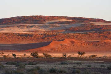 Morgenstimmung an der Elimdüne bei Sesriem (Namibia)