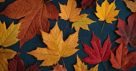A variety of vibrant autumn leaves in shades of red, orange, and yellow are arranged on a dark background, highlighting the beauty of fall foliage and seasonal transformation