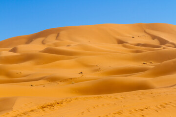 A large sandy dune and blue sky. Sahara Desert, Erg Chebbi, Morocco, Africa