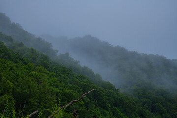 misty morning in the mountains