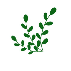 green leaves vector