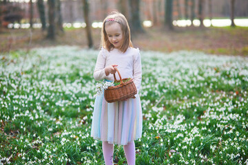 Cute preschooler girl in tutu skirt gathering snowdrop flowers in park or forest on a spring day....