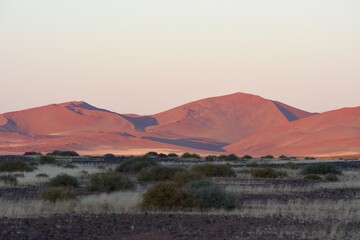 Morgenstimmung an der Elimdüne bei Sesriem (Namibia)