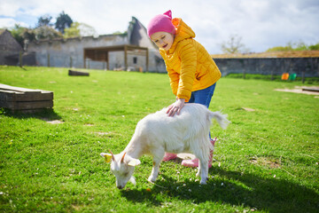 Adorable preschooler girl playing with goat at farm.