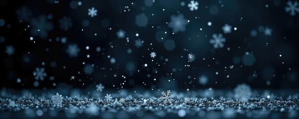 Obraz premium Delicate snowflakes fall gently on a black canvas, frosty atmosphere, frost, cold weather