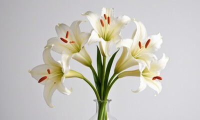 Obraz premium A stunning bouquet of white lilies in a clear vase, showcasing their elegant petals and vibrant orange stamens.