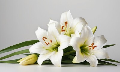 A beautiful arrangement of white lilies with green leaves, symbolizing purity and elegance.