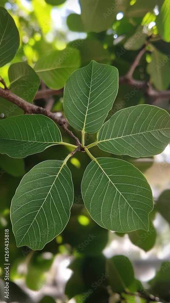 Poster close view of lush green leaves displaying intricate patterns in a vibrant tropical setting
