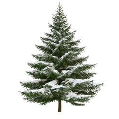Fototapeta premium Snow-covered fir tree isolated on transparent background