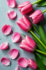 Obraz premium Petals of pink tulips scattered on a grey surface, pink tulips, floral, arrangement