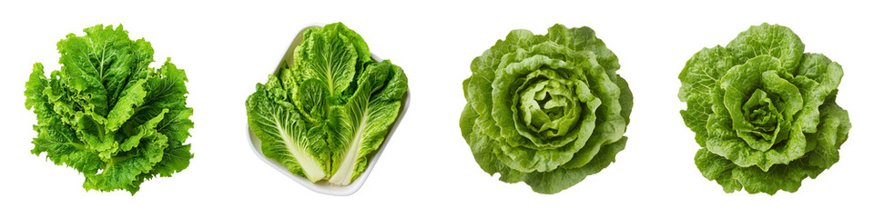 Obraz premium High-Quality Shot of Fresh Salanova Lettuce Varieties Displayed