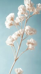 Bright white flowers bloom against a soft blue backdrop, symbolizing the awakening of nature during the Spring Equinox. The beauty of spring brings joy and renewal as gardens flourish